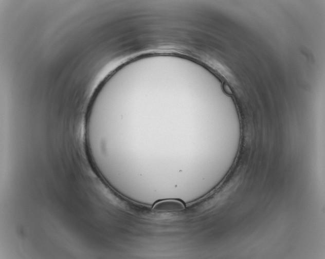 X0000114501420200911091100