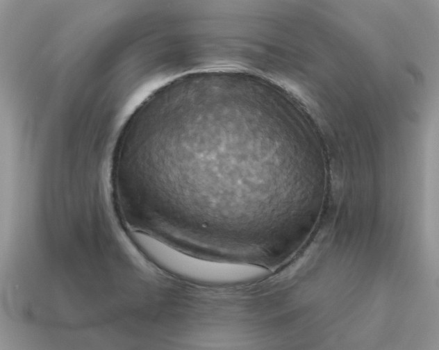 X0000114501422200911091100