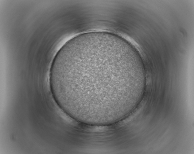 X0000114501423200911091100