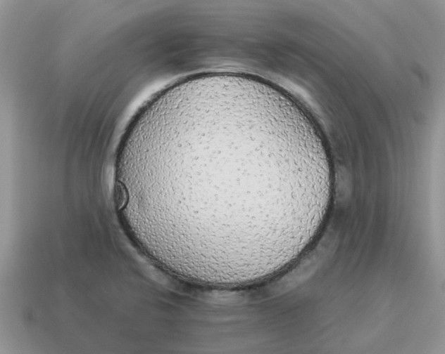 X0000114501424200911091100