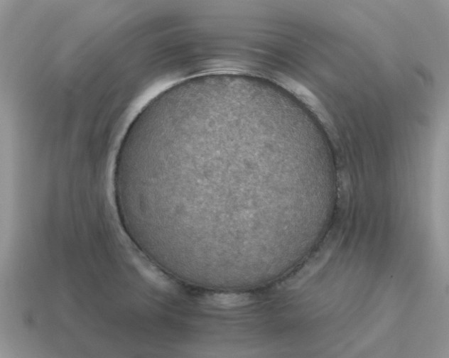 X0000114501427200911091100