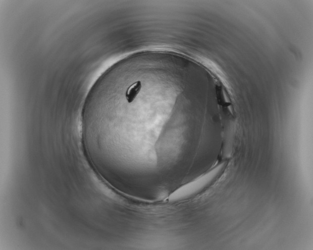X0000114501428200911091100