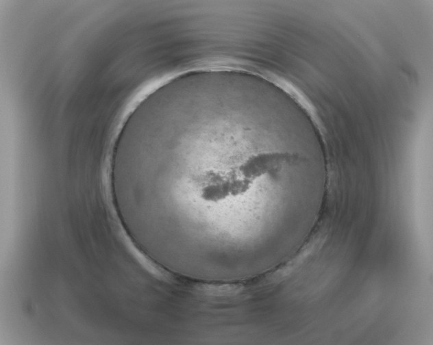 X0000114501429200911091100