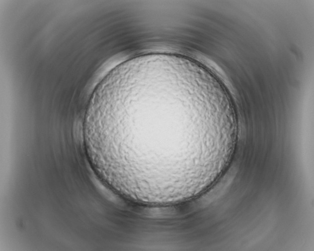 X0000114501433200911091100