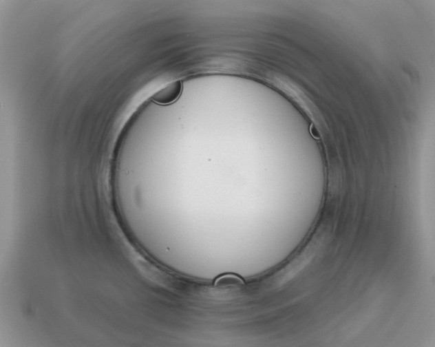 X0000114501434200911091100