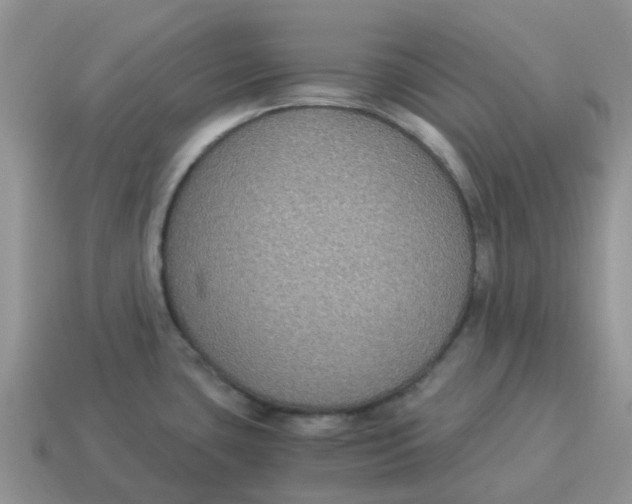 X0000114501435200911091100