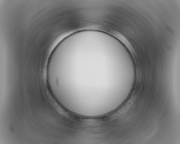 X0000114501436200911091100