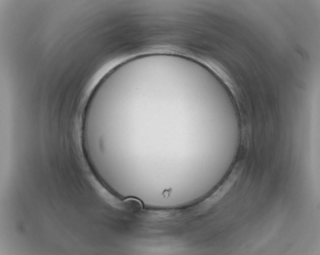 X0000114501438200911091100