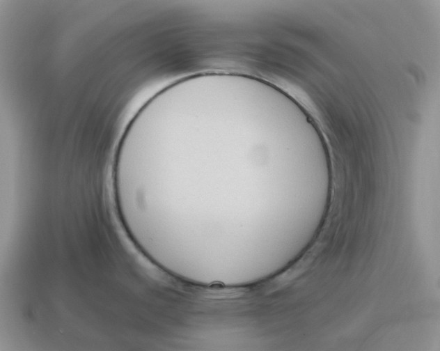 X0000114501440200911091101