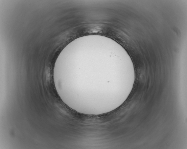 X0000114501442200911091100