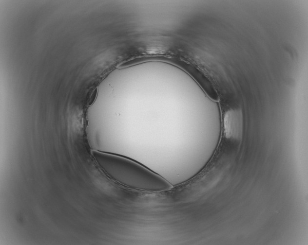 X0000114501443200911091100