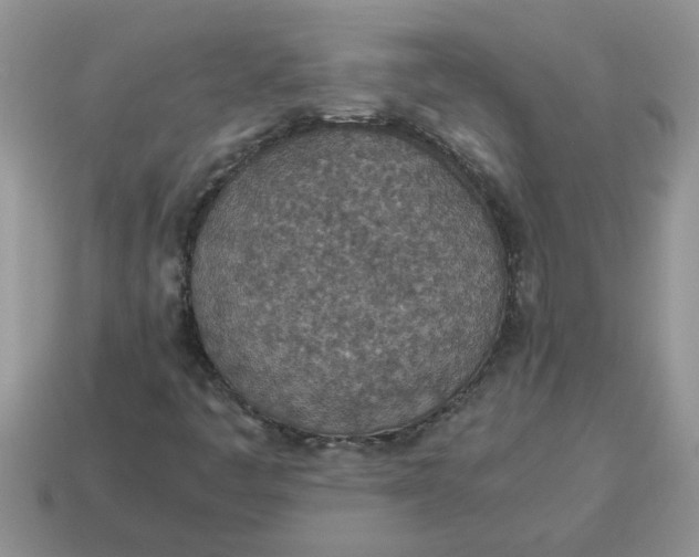 X0000114501445200911091100