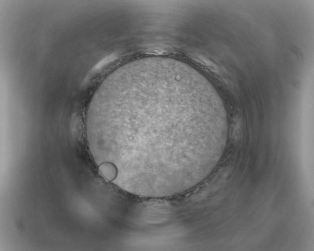 X0000114501446200911091100