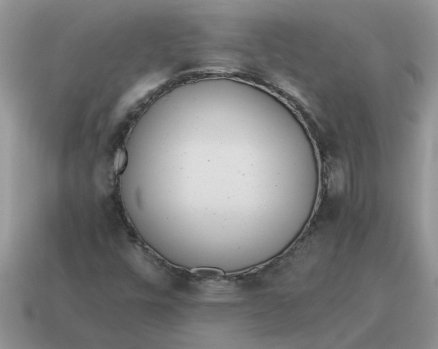 X0000114501448200911091100