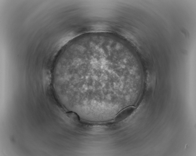 X0000114501449200911091100