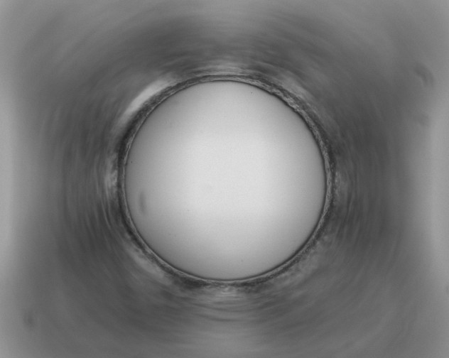 X0000114501450200911091100