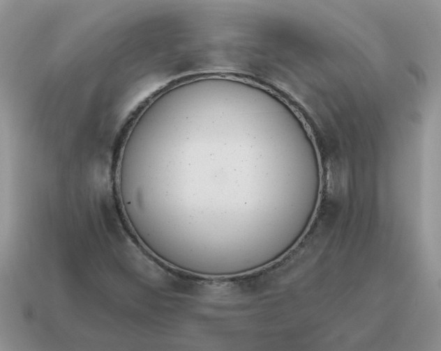 X0000114501452200911091100
