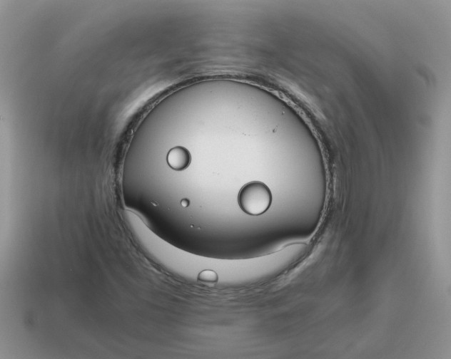 X0000114501453200911091100