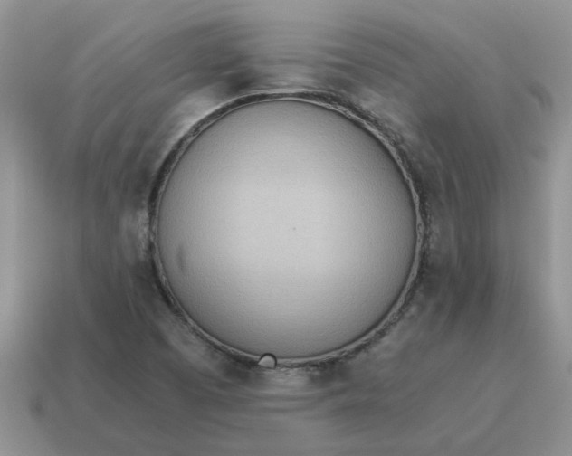X0000114501457200911091100
