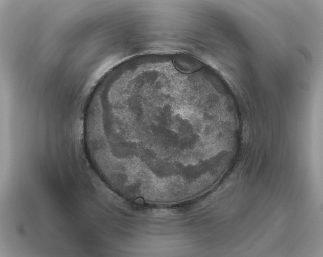 X0000114501459200911091100
