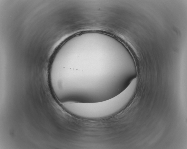X0000114501460200911091100