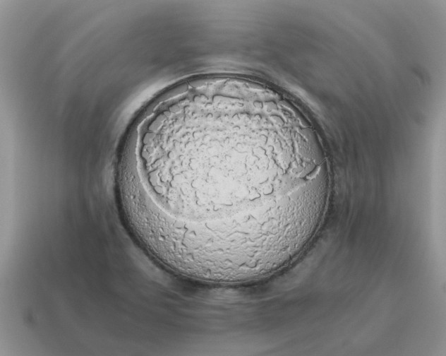 X0000114501463200911091100