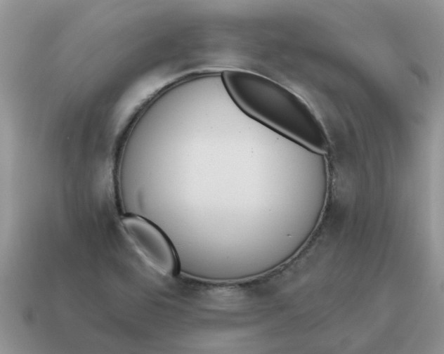 X0000114501464200911091100