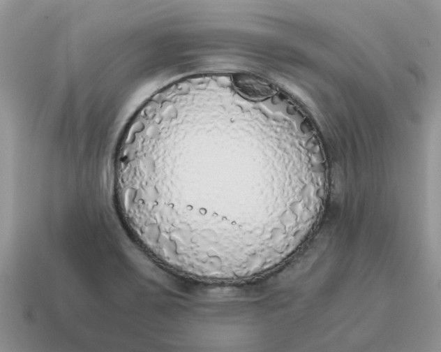 X0000114501467200911091100