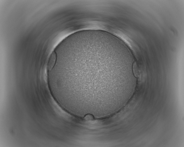 X0000114501468200911091100