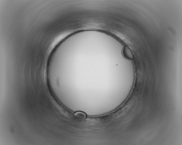 X0000114501469200911091100