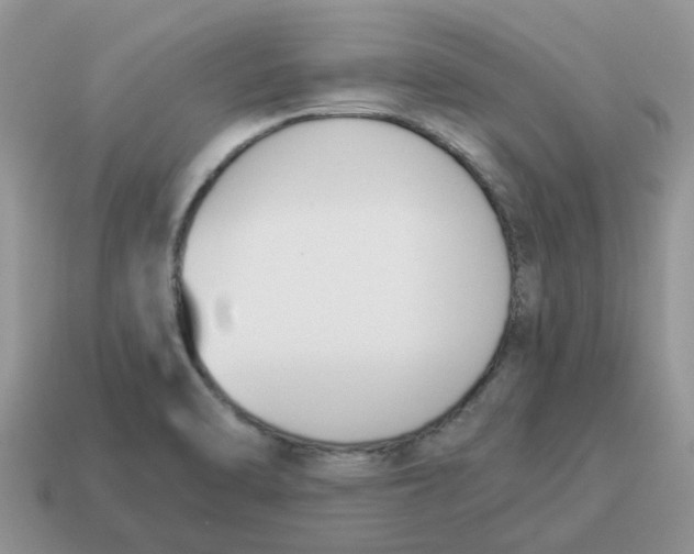 X0000114501470200911091100