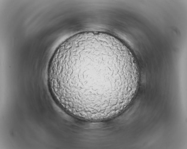 X0000114501471200911091100
