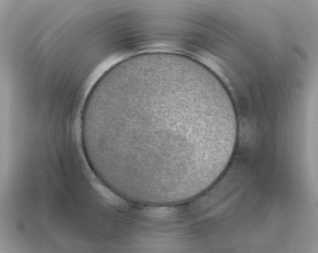 X0000114501474200911091059