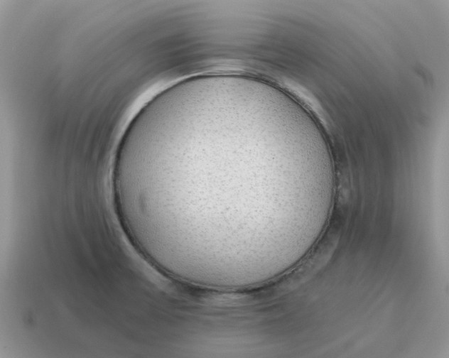 X0000114501475200911091059