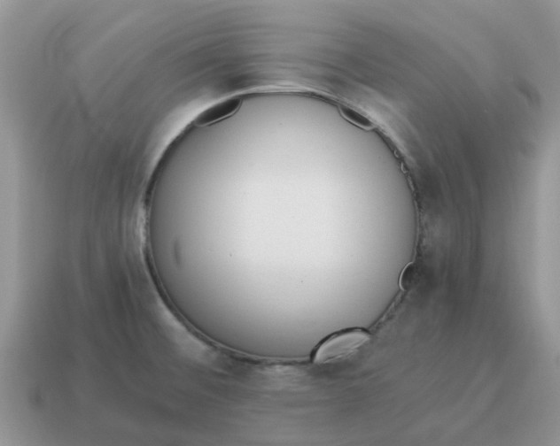 X0000114501476200911091059