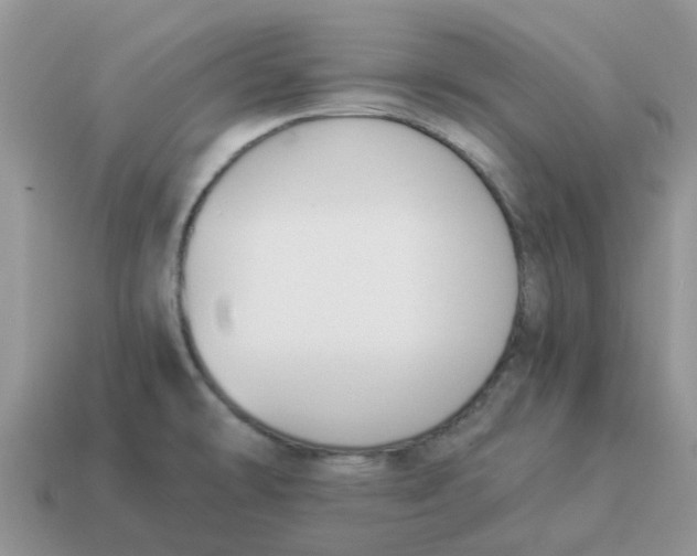 X0000114501478200911091059