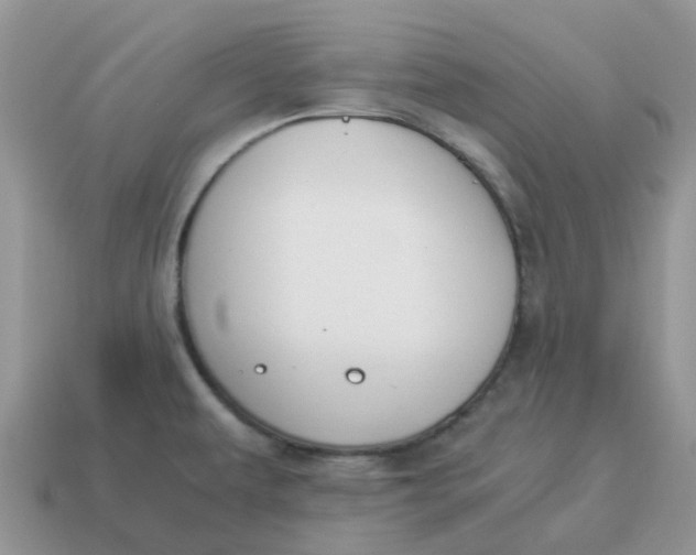 X0000114501479200911091059