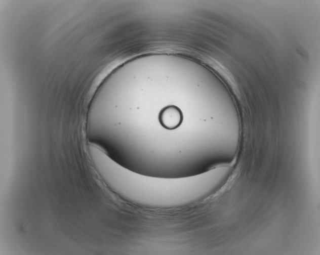 X0000114501481200911091059