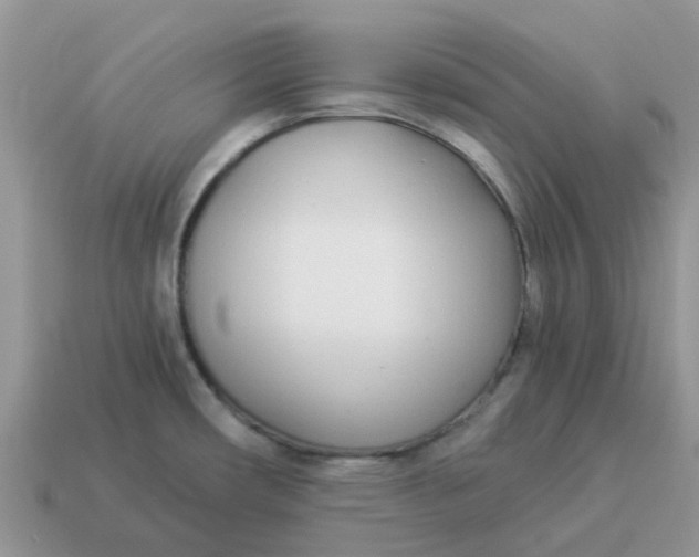 X0000114501482200911091059
