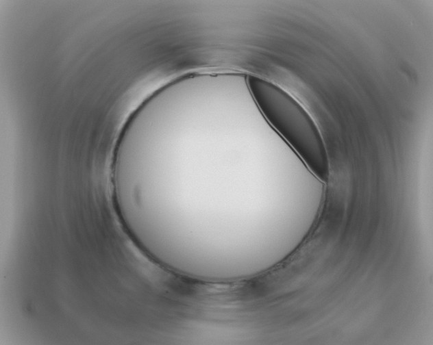 X0000114501485200911091059