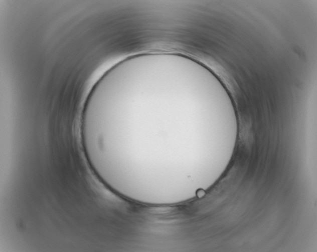 X0000114501486200911091059
