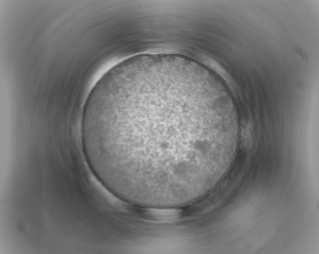 X0000114501487200911091059