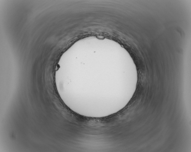 X0000114501489200911091059
