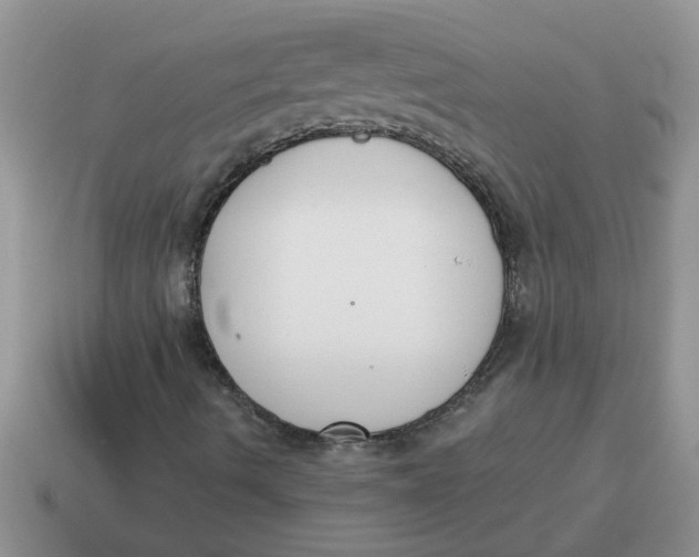 X0000114501490200911091059