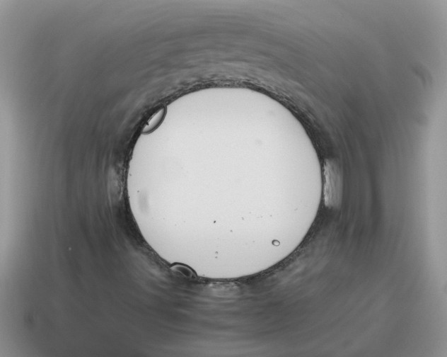 X0000114501491200911091059