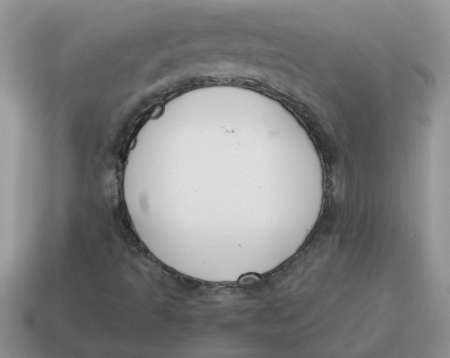 X0000114501493200911091059
