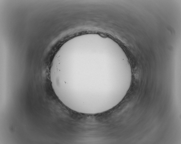 X0000114501495200911091059