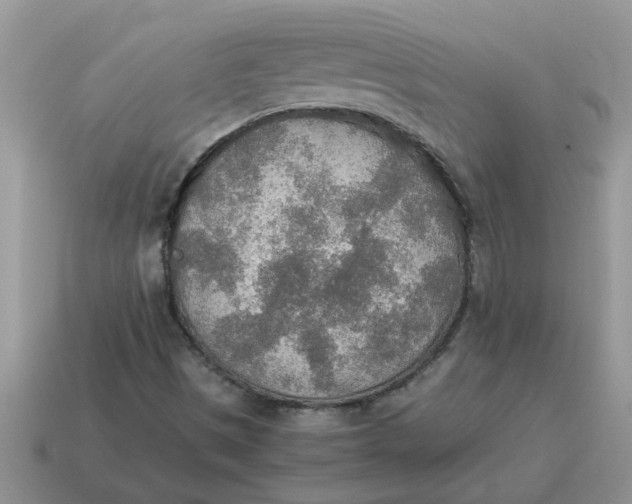 X0000114501497200911091059