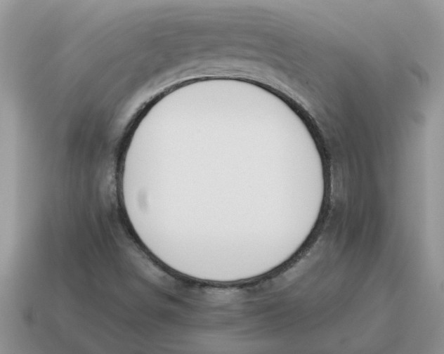 X0000114501498200911091059