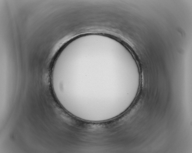 X0000114501501200911091059